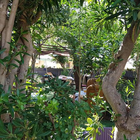 Chambres Privees Maison Jardin Toutes Commodites Partagees Valras-Plage Kültér fotó