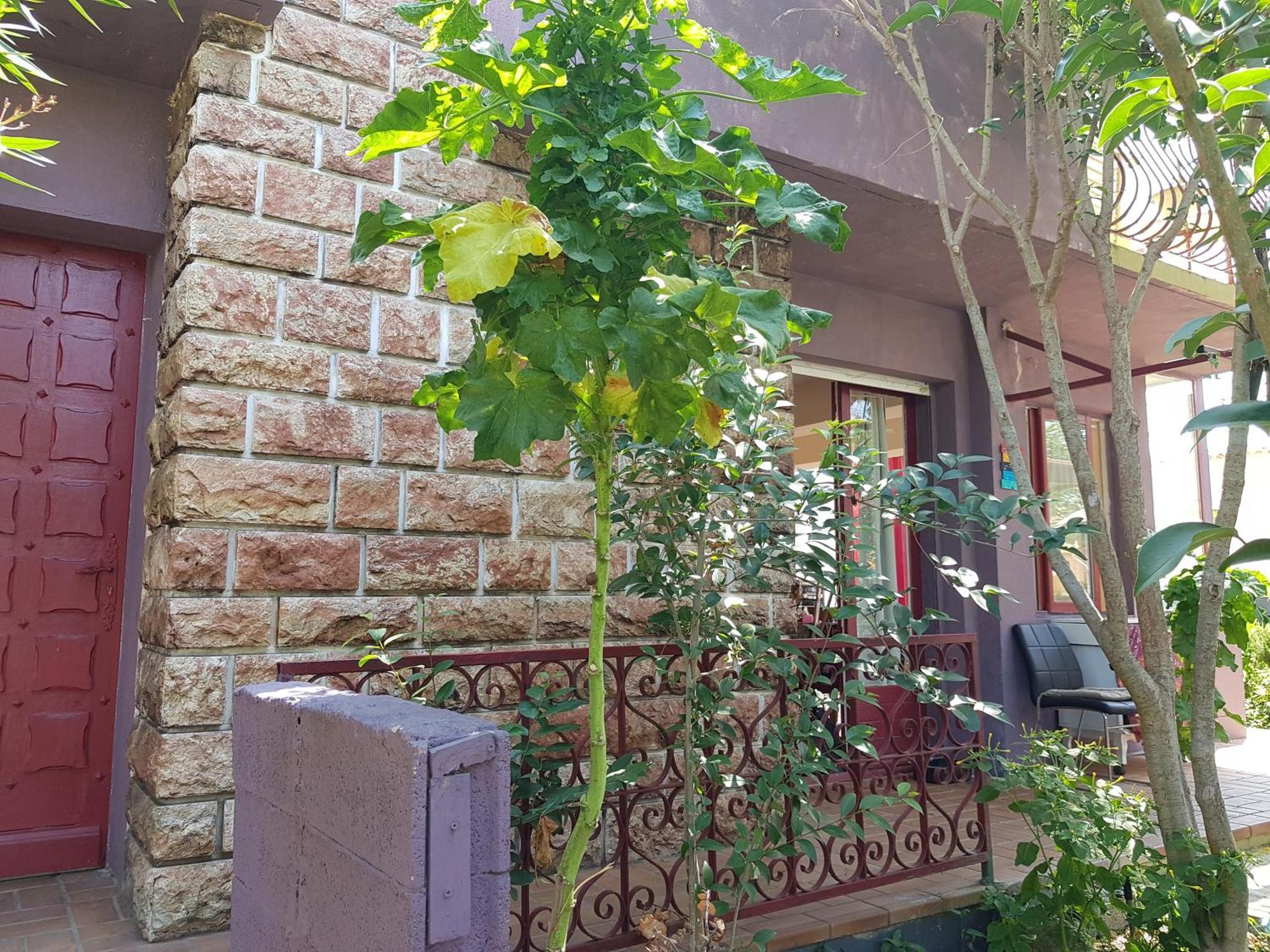 Chambres Privees Maison Jardin Toutes Commodites Partagees Valras-Plage Kültér fotó